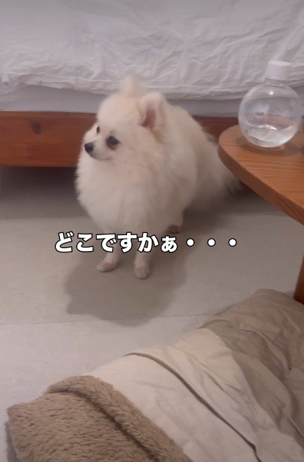 思い出さなかった！！