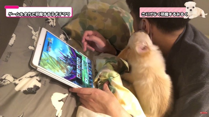 全然ゲームに集中できません