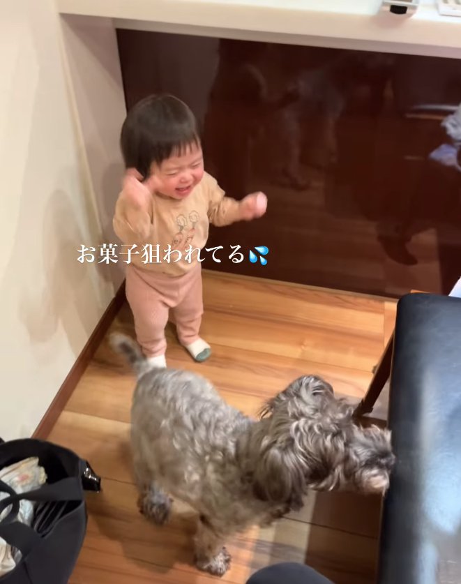 泣いている子どものそばにいる犬「お菓子狙われてる」