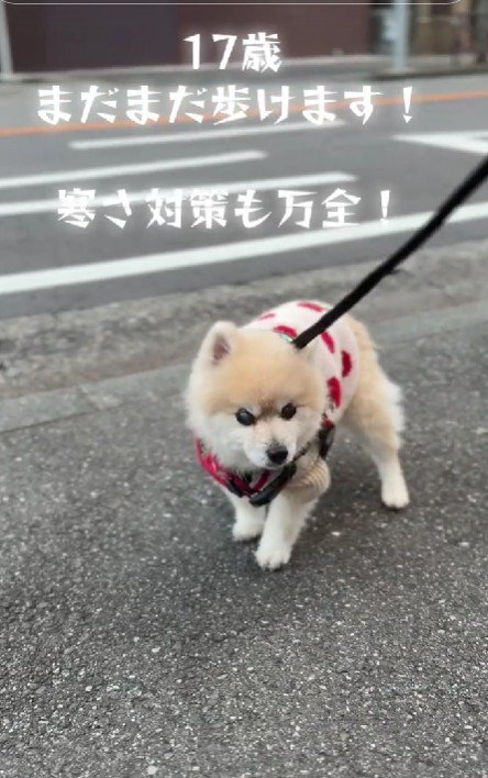 のんびり歩くのが好き