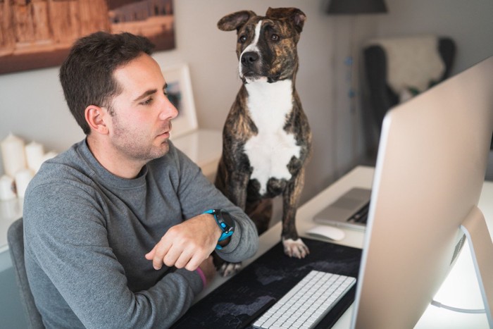 男性と犬