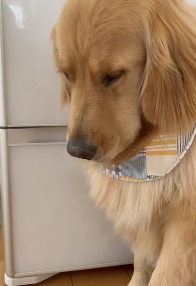 「病院、拒否です…」