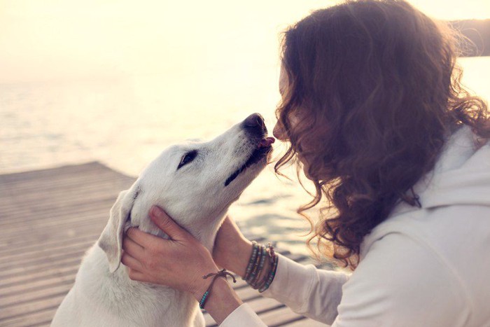 女性に顔を近づける犬