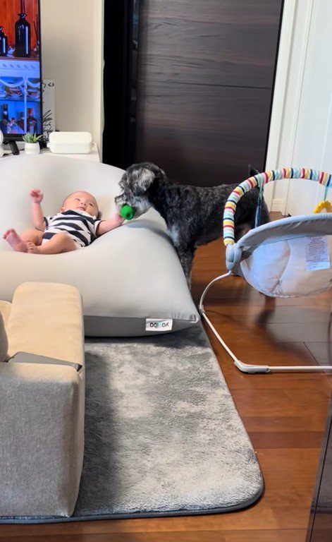 赤ちゃんを遊びに誘うらんちゃん5