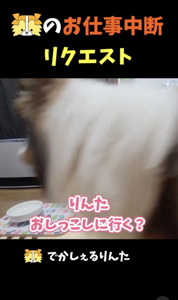 走り出す