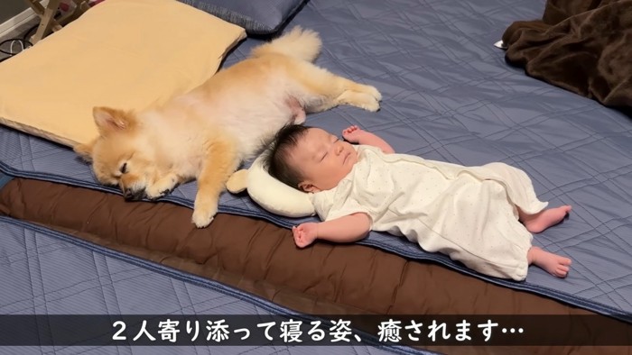 仲良く寄り添ってすやすや…♡