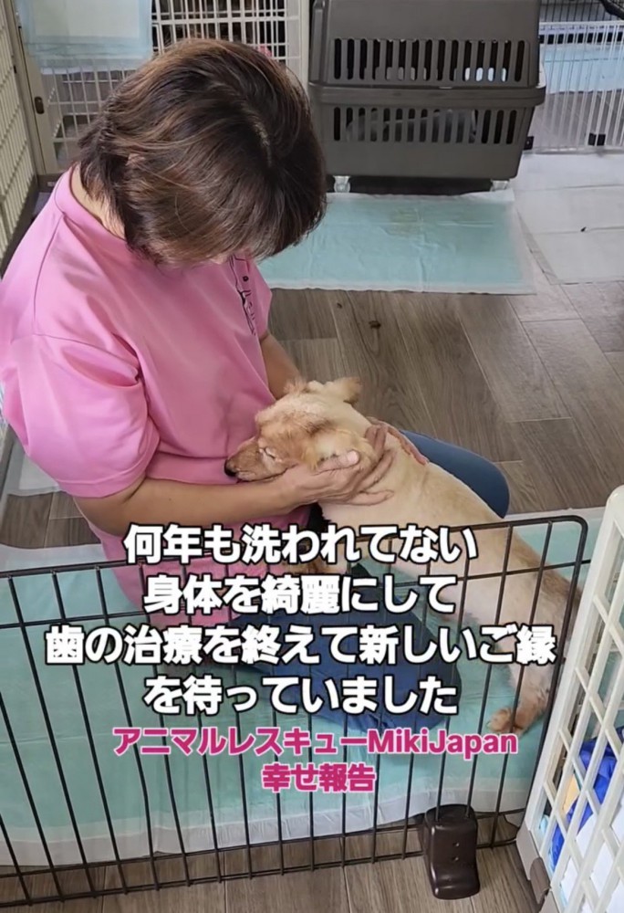 ひざの上でなでられる犬