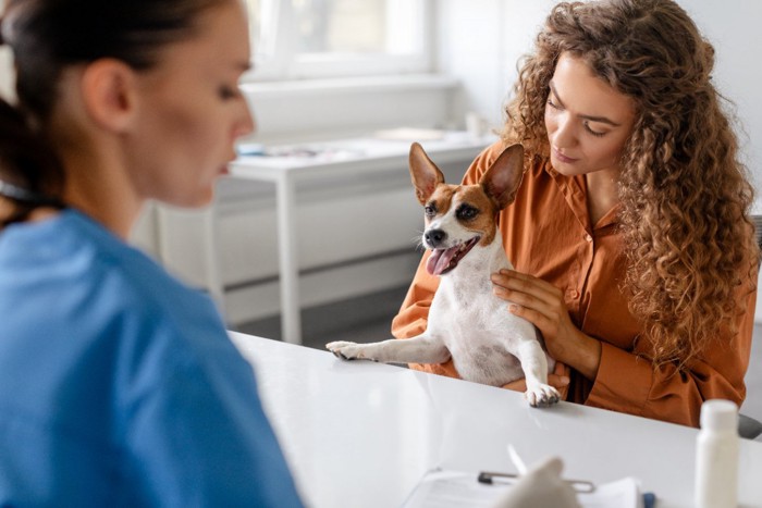 犬の問診