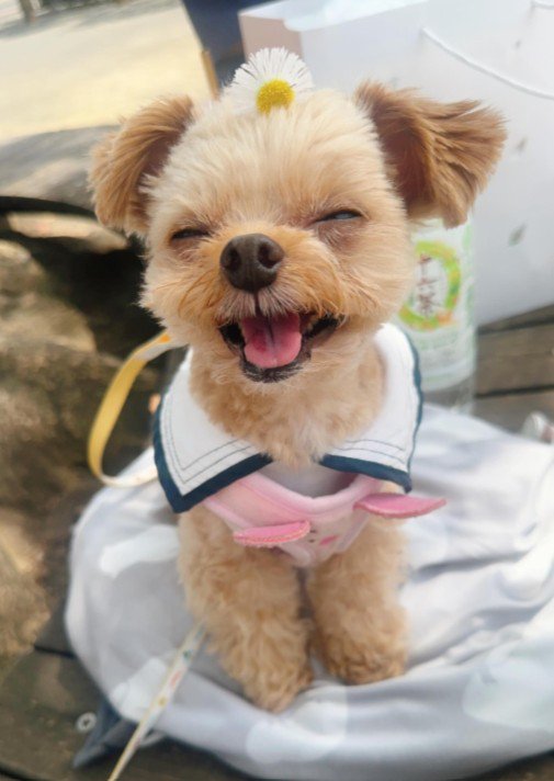 ニコニコ～ッ♪