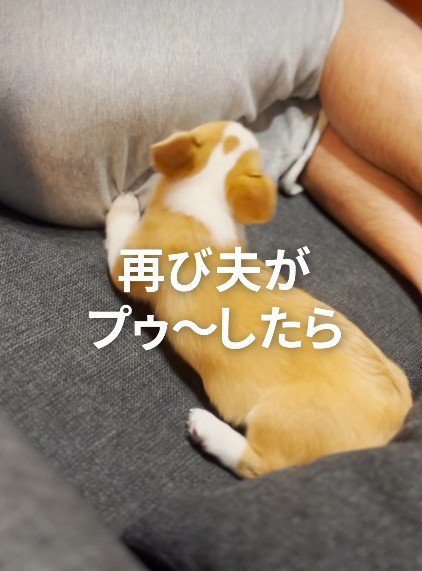 パパのお尻に顔を突っ込んだら…