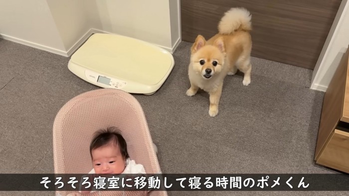 「僕、そろそろ寝ます!」