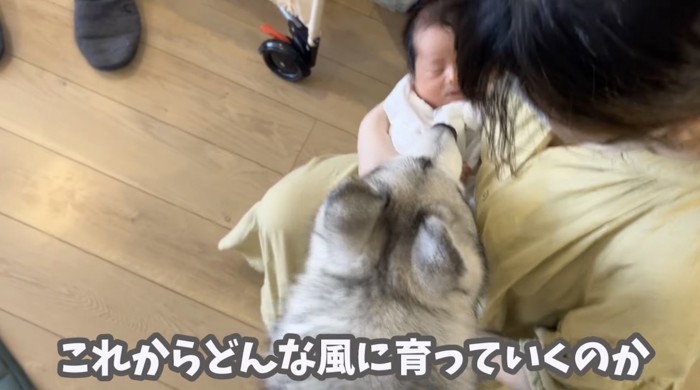 ガッツリ嗅ぎます