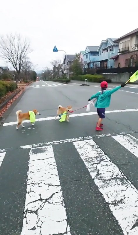 一列に並んだ3人がカワイイ♡