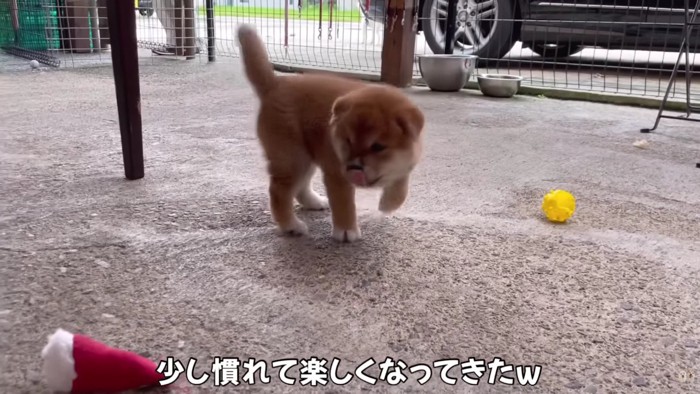 小さな大冒険♪