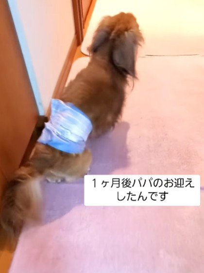 お父さんをお出迎え！