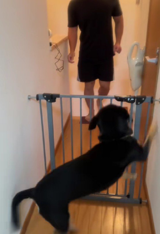 嬉しさが抑えられない♪