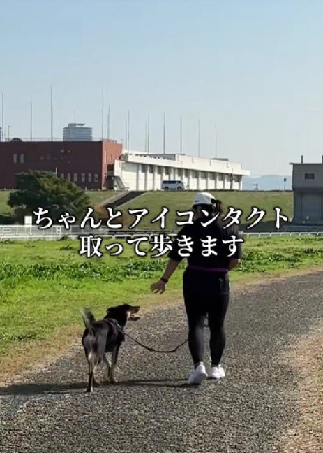 「お散歩、楽しいね♡」