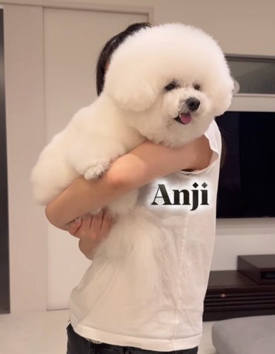 モコモコの犬