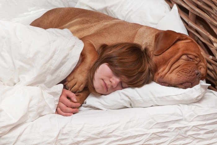 女性にくっつく犬