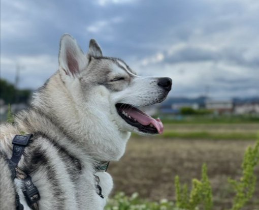 素敵な