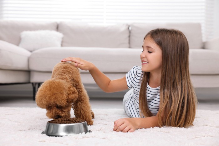 食事中の犬を撫でる子ども