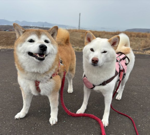 仲良し