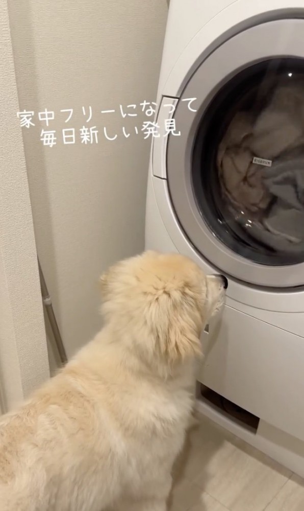 毎日発見