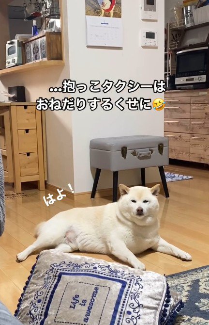 自分からは甘えない！？