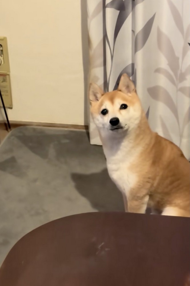 うるうるすぎる瞳