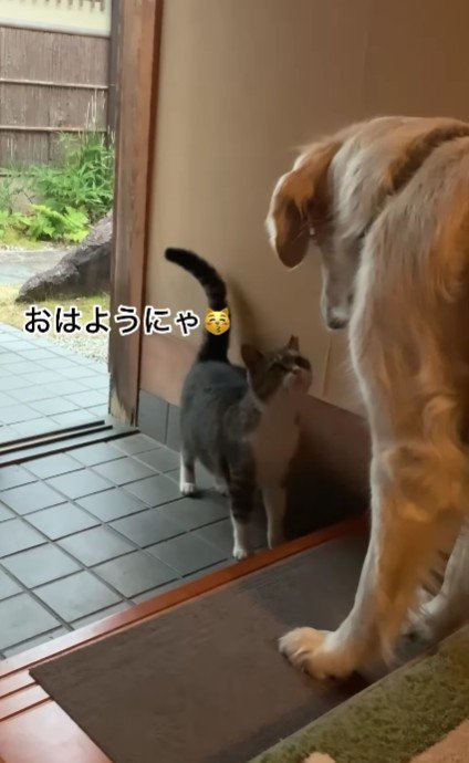 マイリーちゃんの元へ