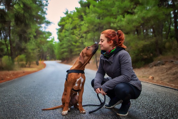 女性にキスする犬