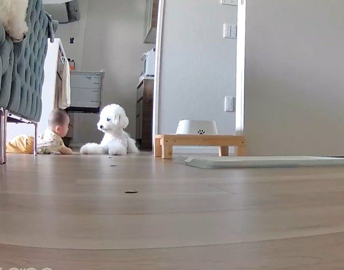 「勝手に動いて大丈夫かなあ…?」