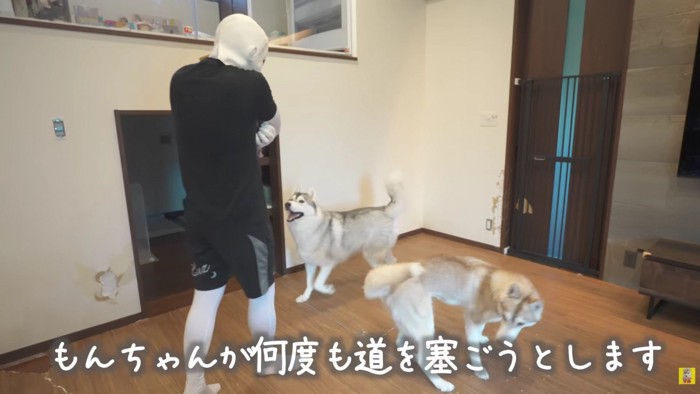 最後の扉を死守するもんちゃん