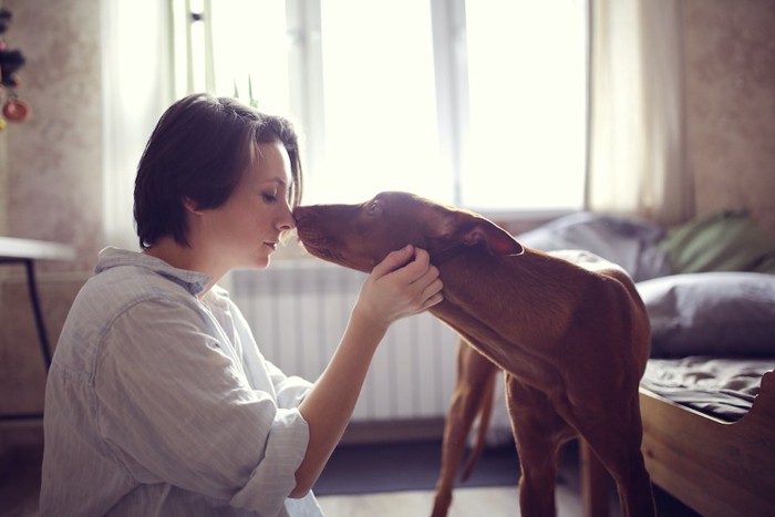 女性の顔に鼻を近づける犬