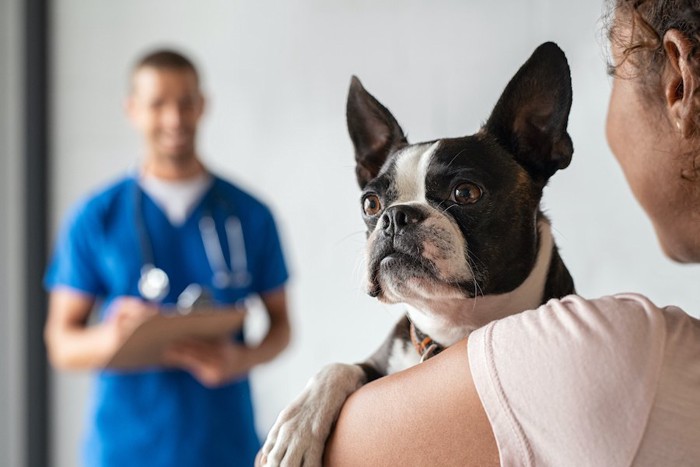 犬を抱っこした飼い主と話す獣医師