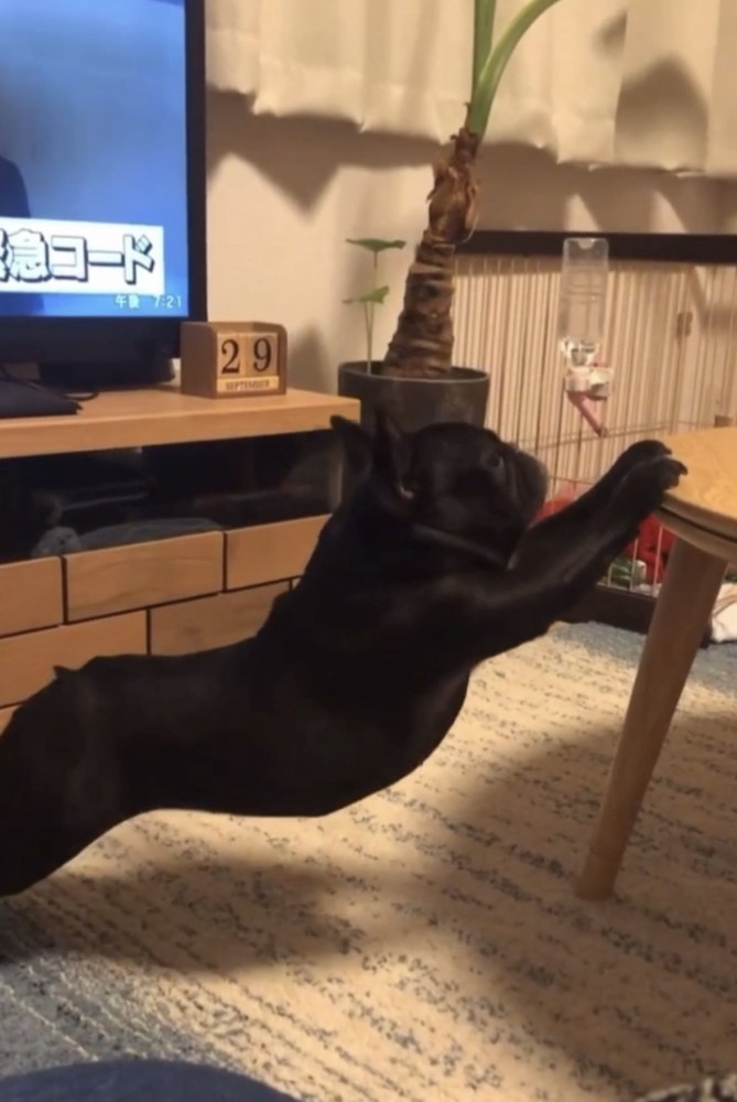 ストレッチ4