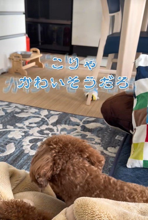 おじいちゃんが可哀想すぎる…！