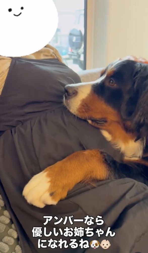 ママの信頼も厚いです