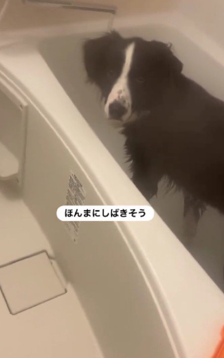 ｢何をされてるんですかね…あなたは｣