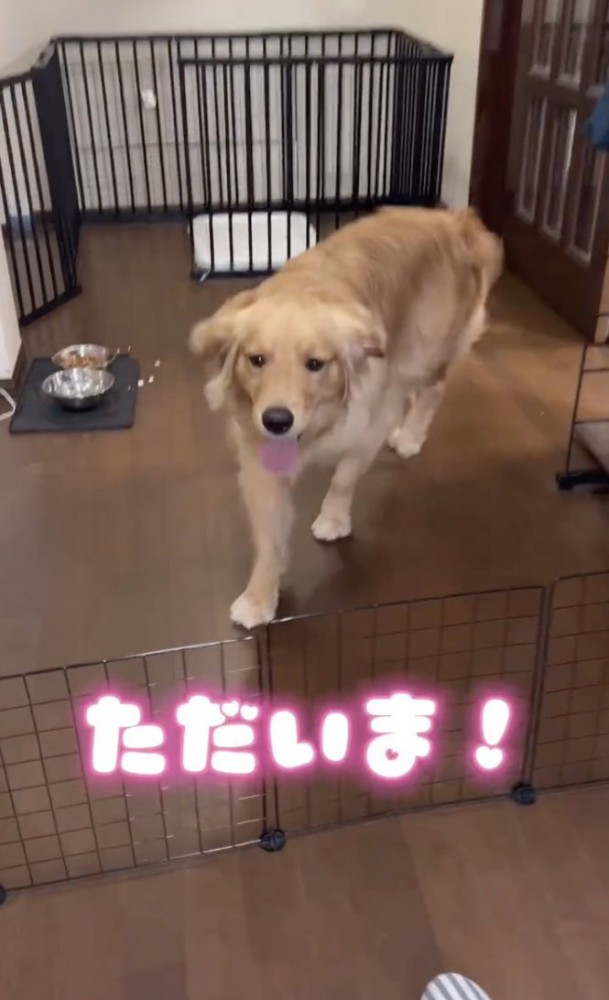 走ってきた