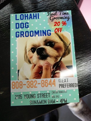 Lokahi Dog Grooming