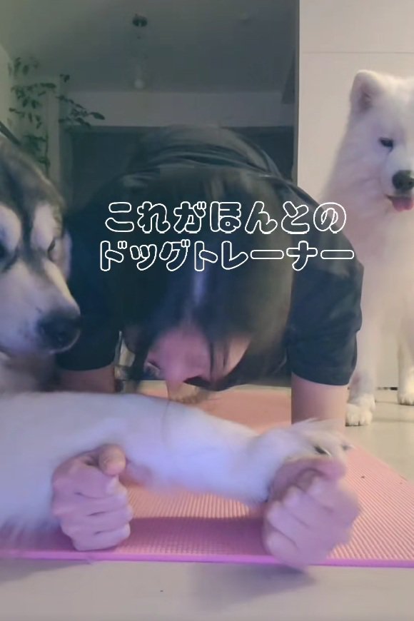 前足で押さえるぽてまる君