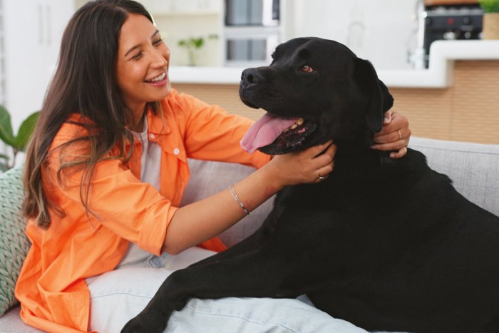 女性と触れ合う犬