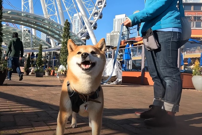 笑顔の犬