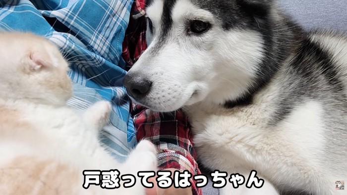 じゅんちゃんとの出会い