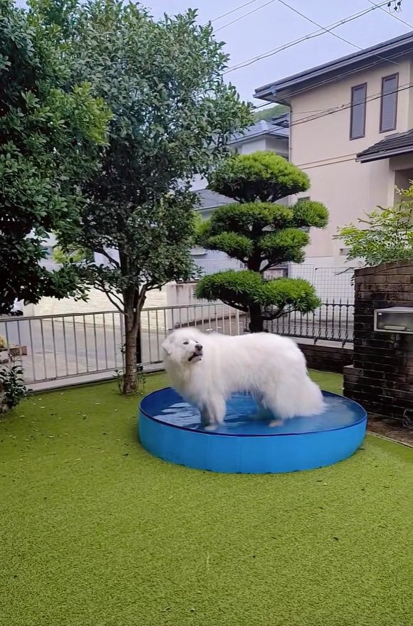 そっぽを向くミントくん