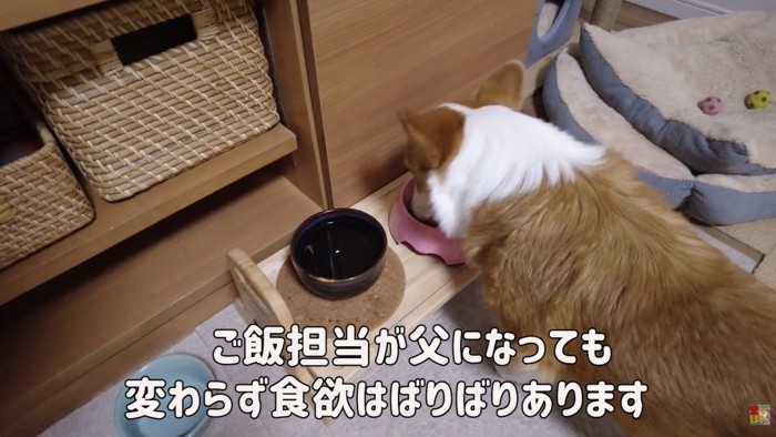 いつも通り食欲旺盛