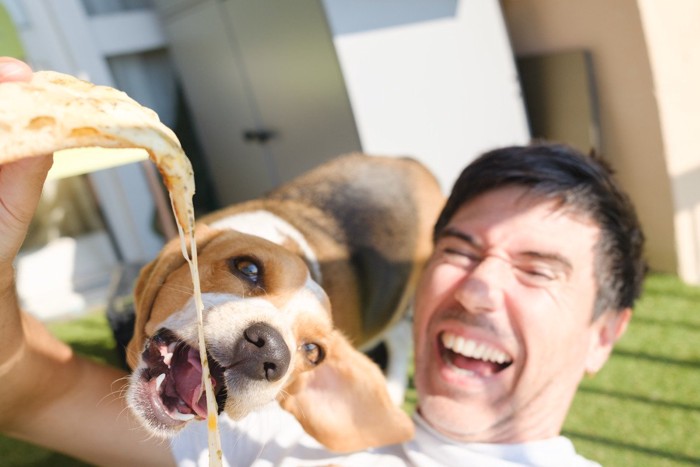 愛犬にピザを食べさせる飼い主