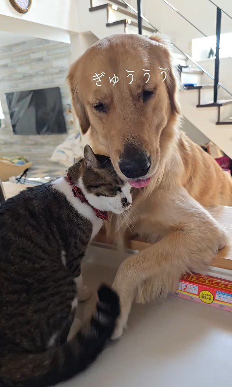 ぴとっ♡
