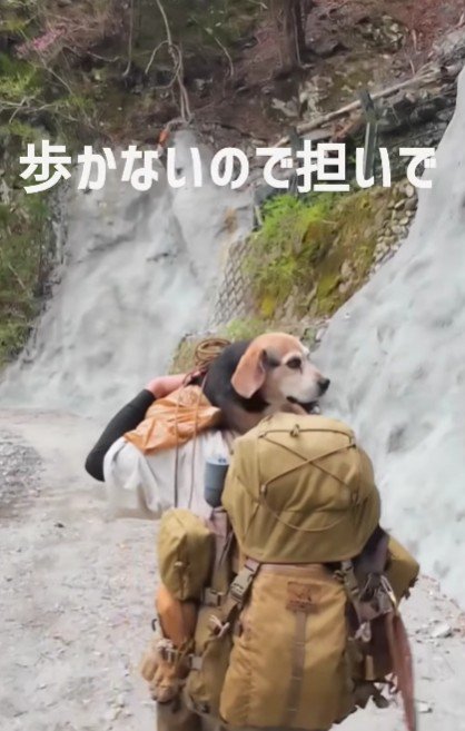 体力が残ってないみたい